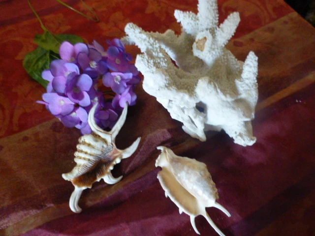 Lot De 2 Barrettes Vintage Rohanne Paris - Incrustations De Corail Et Bois - Occasion