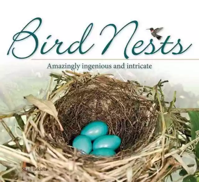 Bird Nests - 9781591934684