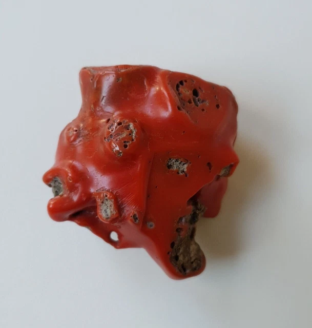 Corail Naturel Brut Méditerranéen Ancien – Pierre Précieuse Rouge – Environ 45 Carats – Neuf Sans Emballage