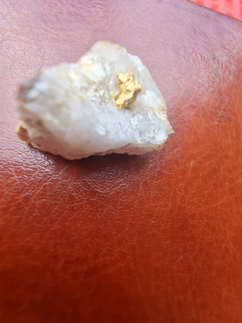 Gold Nugget Specimen