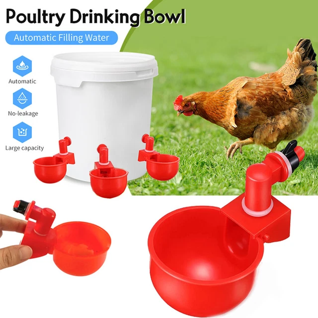 6PCS Automatic Water Cups Poultry Drinker Waterer Chicken Duck Quail Drinking