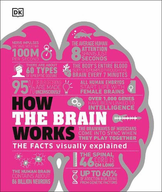 HOW THE BRAIN Works The Facts Visually Explained by DK (English