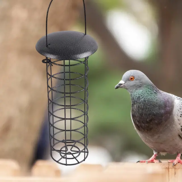 Mangeoire à Poulet Suspendue En Métal, Boule De Friandises Pour