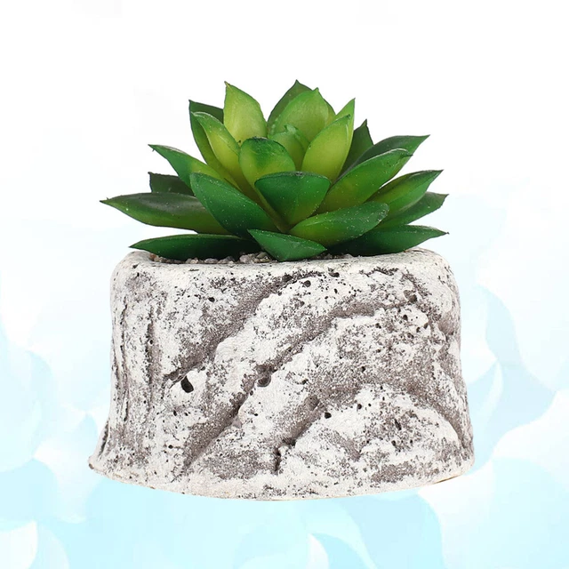 Simulation Sukkulenten Topfpflanzen Künstliche Bonsai Home Decoration