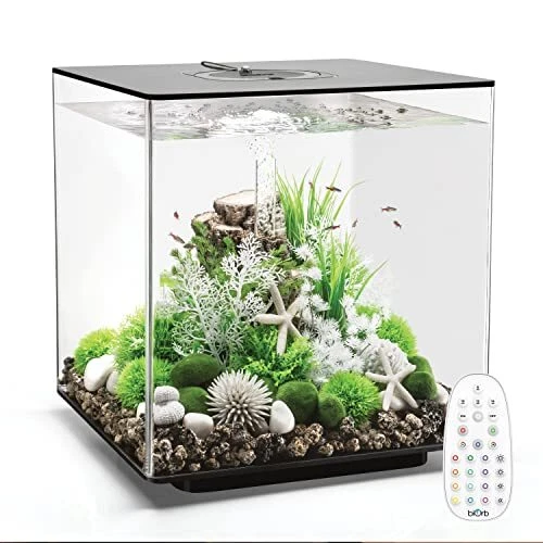 Cube 60 Aquarium with MCR Light - 16 Gallon Black
