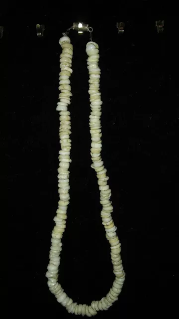 Puka Shell Necklace Rare Hawaii Vintage Circa