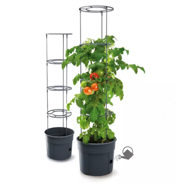 Tomatenzüchter Tomatentopf Tomatenzucht-Set Tomatenkübel mit Rankhilfe