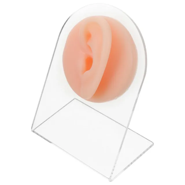 1 juego modelo de oreja humana, modelo de oreja piercing de silicona,