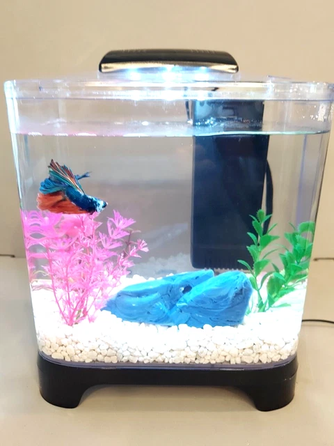 BETTA TANK KIT-PENN PLAX  1.5gal w/INT FILTER & LED