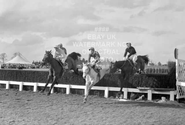 Fort Leney Pat Taaffe 1968 Gold Cup Cheltenham Festival Photo Print Horse Racing