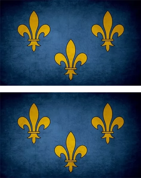 2x Autocollant sticker drapeau vintage vieilli fleur de lys roi de france