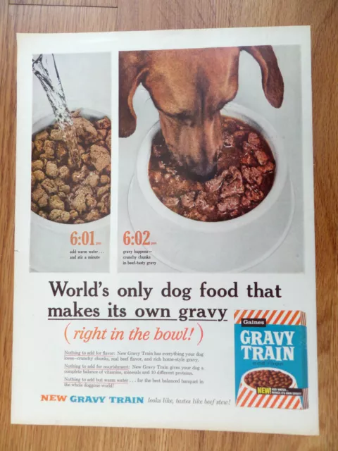 1960 Gravy Train Dog Food Ad  Irish Setter Dog