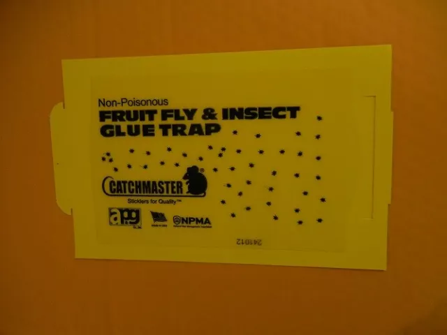 100 Catchmaster Fruit Fly Insect Glue Traps 100FF 2
