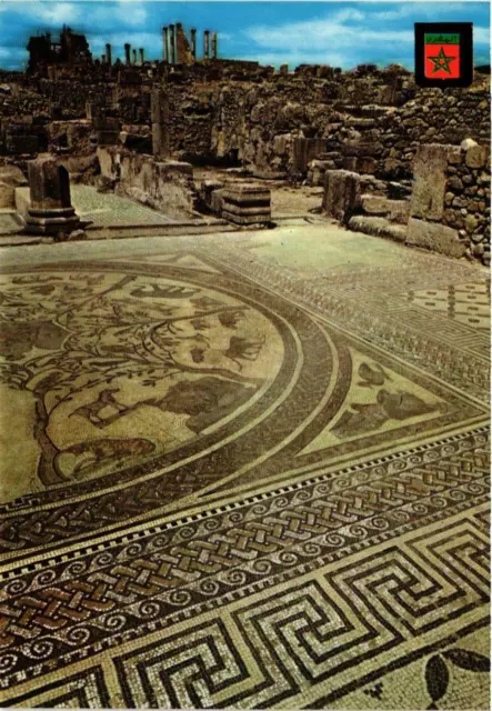 CPM AK Volubilis- Mosaique de la Maison d'Orphee MAROC (880829)
