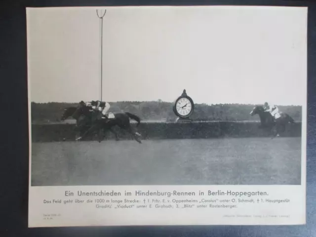 (147) Bilderdienst - Unentschieden im Hindenburg-Rennen in Berlin -Hoppegarten