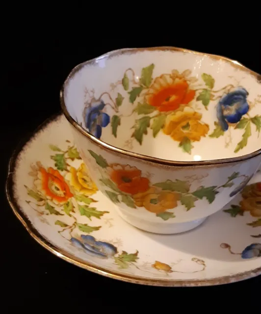 Vintage Royal Albert Rare Hand Painted Tea Cup & Saucer