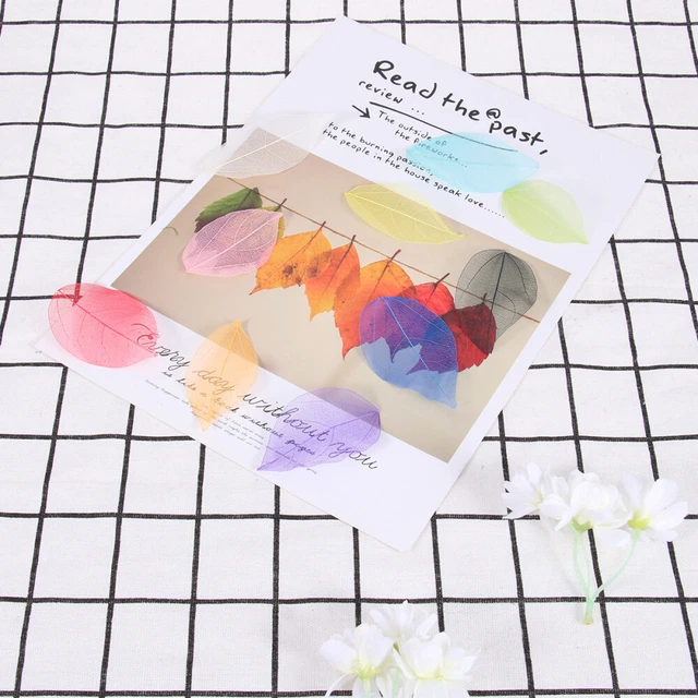 100 piezas Especímenes de flores secas naturales hágalo usted mismo Materiales Marcador Tarjetas de felicitación Manu