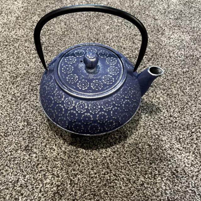 3.5Lbs 34oz Tea Kettle Japanese style Cast Iron Teapot With 304 Stainless Steel