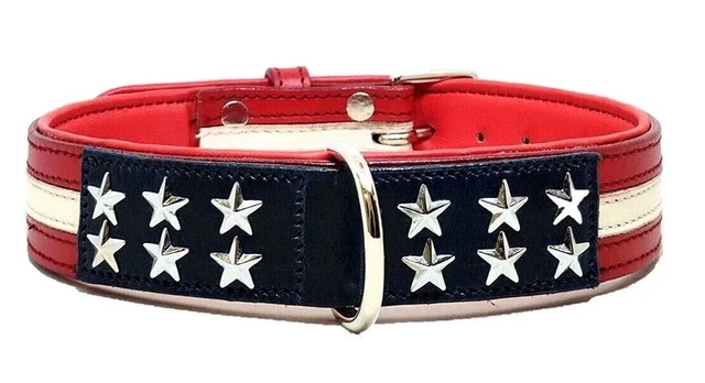 Acquista Collare Per Cani Tattico Militare Da 1 Pezzo Collare Per Cani Di Taglia Media E Grande Collare Per Cane Regolabile Da Pastore Di Taglia Media E Grande Per Addestramento A Piedi - Foto 6