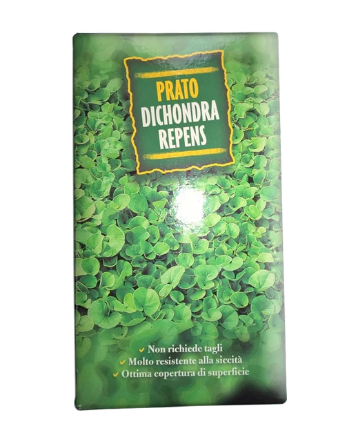 Semi Di Dicondra Repens AGRI-CULTURA® - Per Prato Senza Manutenzione, 25m², Resistente A Siccità E Calpestio - Foto 6