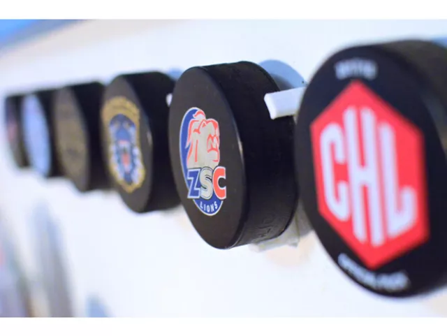 Hockey Puck Mural Affichage Montage Glace Hockey Décor Standard Support