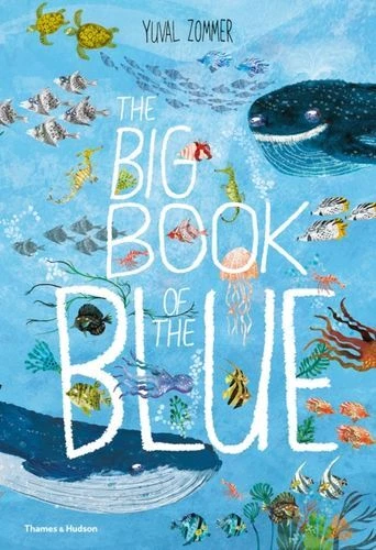 Big Book Of The Blue Fc Zommer Yuval