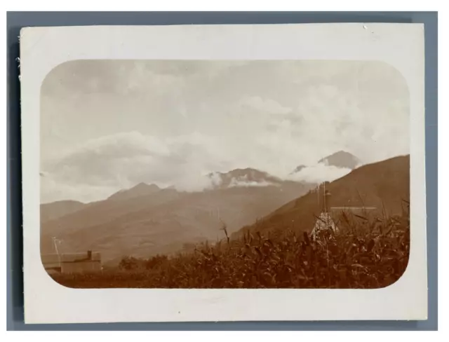 Paysage montagneux  Vintage citrate print.  Tirage citrate  6,5x9  Circa 1