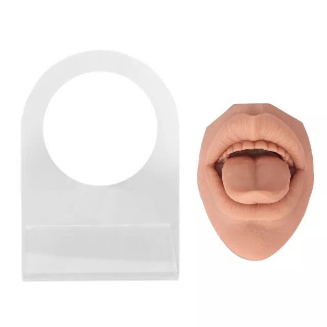 (Flesh Blond)Silicone Tongue Mouth Model Flexible Model Body Part Display With