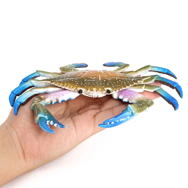 Figurine Crabe Soldat Marin – Modèle Plastique 12,6 Cm – Jouet Éducatif Ou Décoration Bureau