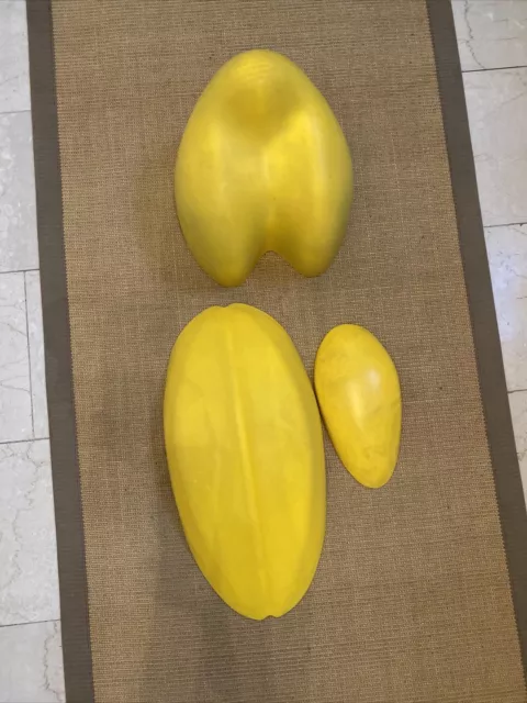 Yellow-Head y Yellow-Back - Juego de cojines de fisioterapia