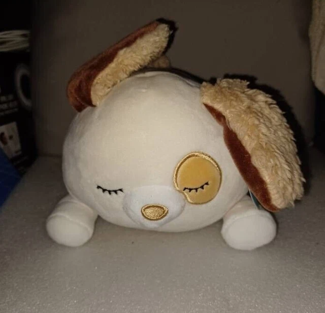 Squishmallow 7.5" Harrison Dog 🐶 Hug Mees Soft Laying Ivory Plush HugMees