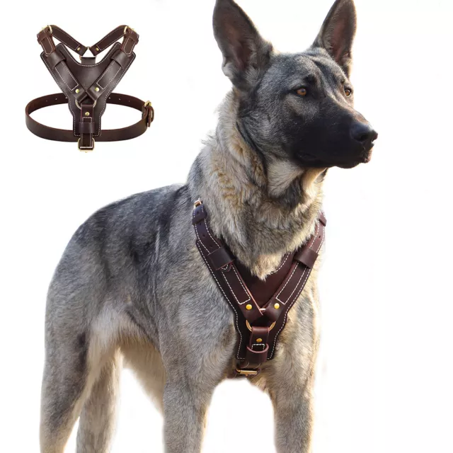 Large Dog Harness Genuine Leather Heavy Duty No Pull Adjustable Pitbull Mastiff