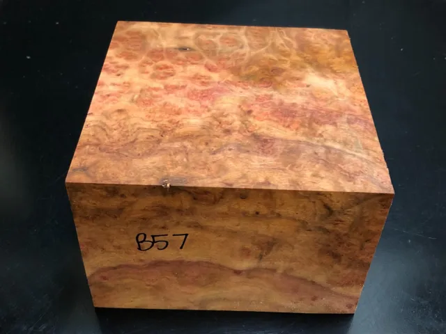 B57) Camphor Burl Block (6 x 6 x 4) Air Dried Wood Turning Bowl Blank