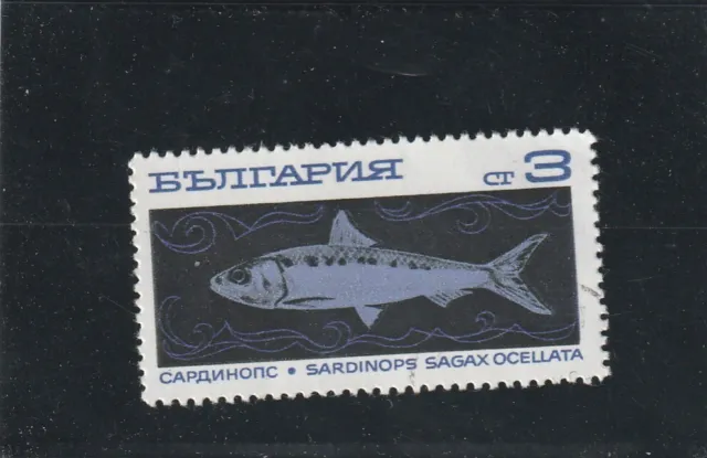 L5907 BULGARIE TIMBRE Y&T N° 1735 de 1969 " Sardinops sagax ocellata " Oblitéré