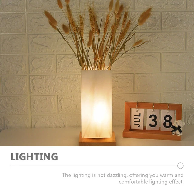 VASE FUNCTION LAMP LED Bed Lights Table Flower Nordic Decor £44.88