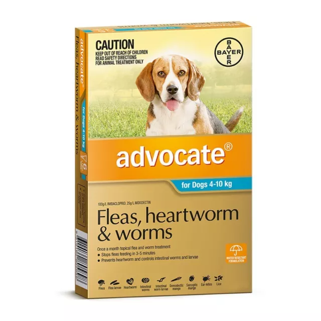 Advocate Dog Medium Blue 4-10KG