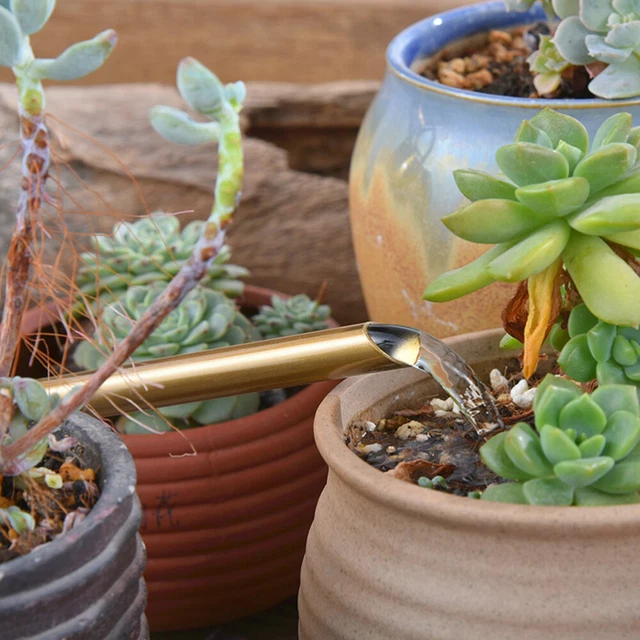 Watering Pot Plants Water Spray Bottle Small Succulent Plants Succulants Indoor 7