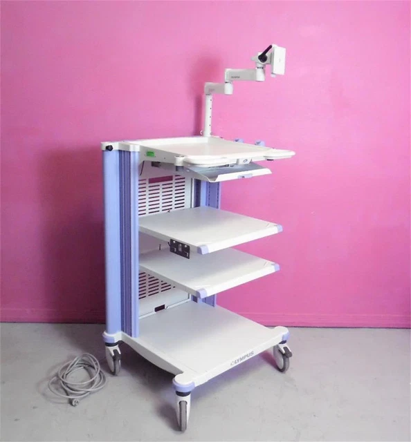 Olympus KEYMED WM-WP1 Workstation Endoscopic Video Cart Stand Monitor Arm