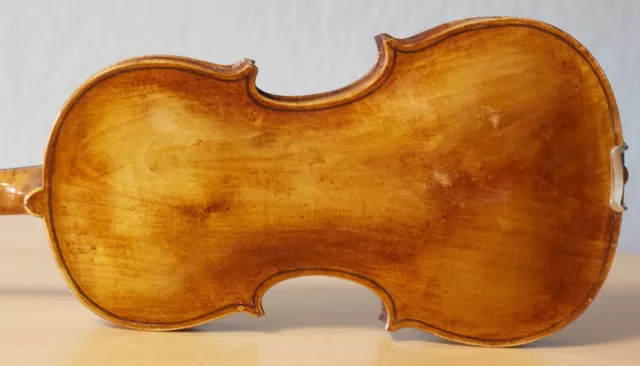 old violin 4/4 geige viola cello fiddle label E. TOM. CARCASSI Nr. 1575