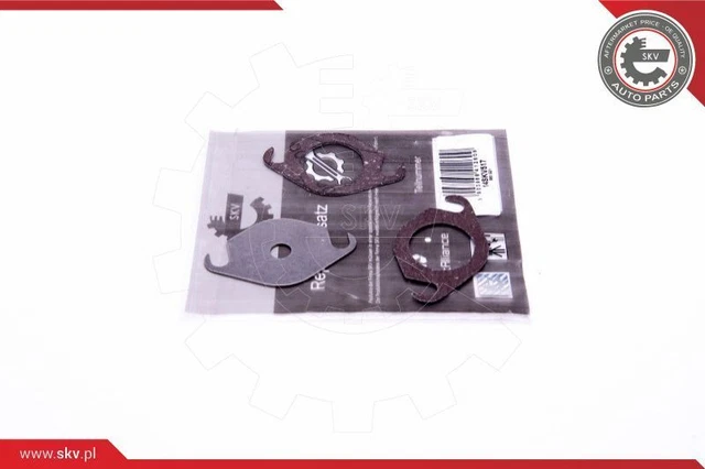 Kit riparazione valvola agr