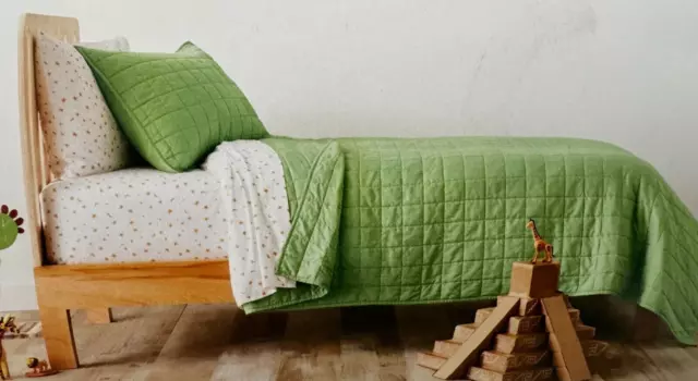 2 pc Pillowfort Green Twin Quilt & Sham Set NIP