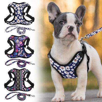 Floral Reflective Dog Vest Harness and Lead Soft Padded French Bulldog Beagle