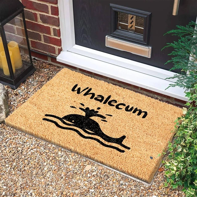 Interesting Fish Pattern Door Front Welcome Mat Polyester Water Soft Small Rug