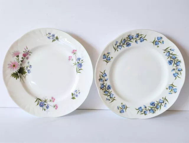 Crown Staffordshire England Lot Of 2 Side Plates Bluebell & Wild Flowers 8 1/4"