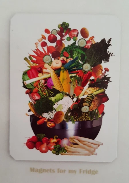 Vegetable Bowl Fridge Magnet - M516F