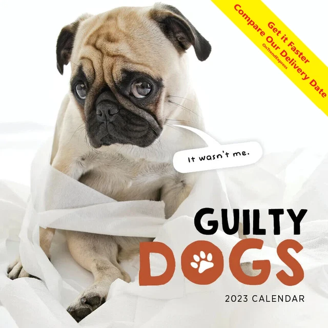 2023 CALENDAR GUILTY Dogs Square Wall Calendar by Paper Pocket 30cm x