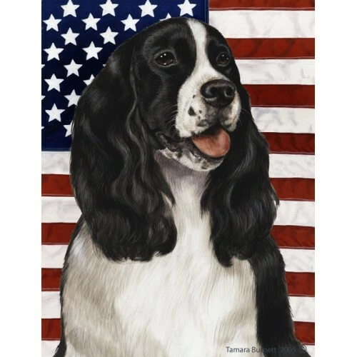 Patriotic (D2) House Flag - Black and White English Springer Spaniel 32080