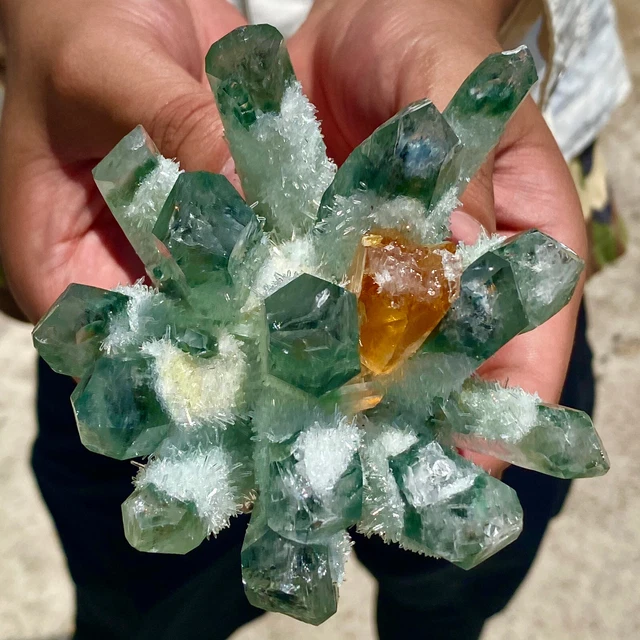 1.2LB New Find Green Phantom Quartz Crystal Cluster Mineral Specimen Healing 13