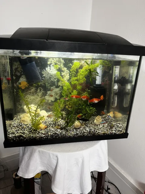 aquarium fish tank accessories used