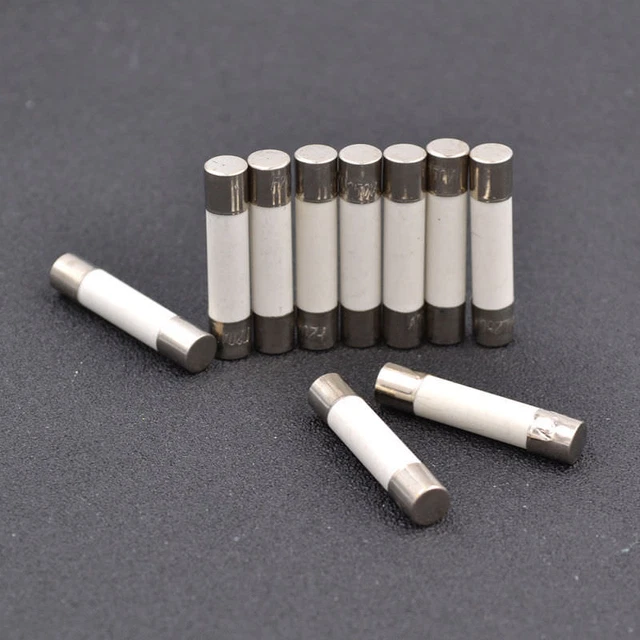 10 PCS MICROWAVE Ceramic Fuse Electric 20A 250V Home Supplies DIY
